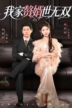 我家赘婿世无双