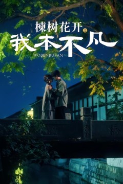 楝树花开之我本不凡