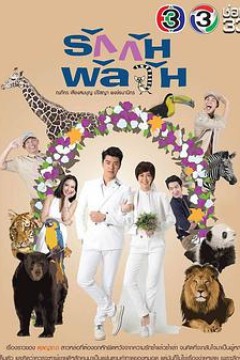 爱情混战
