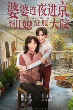 婆婆连夜进京，领儿媳征服大院