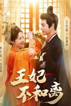 王妃不和离
