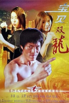 宝贝双龙