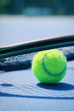 WTA1000多伦多站女单第一轮：马里诺VS森梅兹