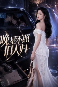 晚星不照旧人归